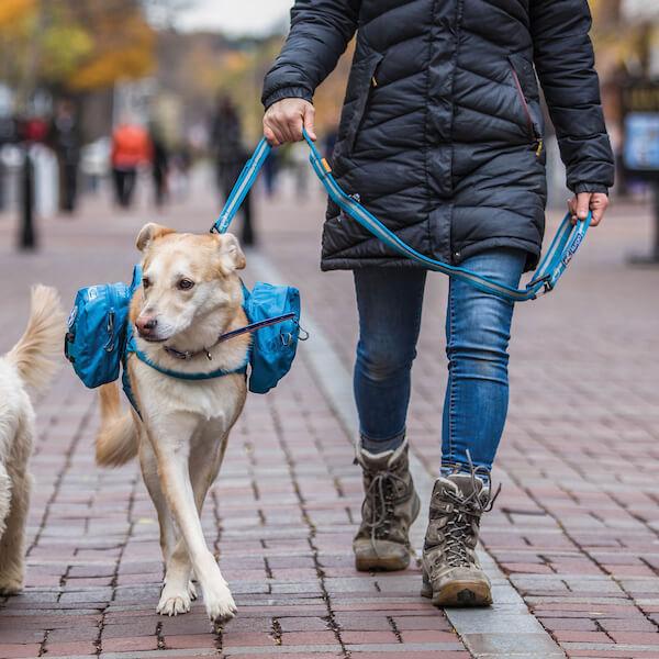 Kurgo RSG Stub Leash Blau